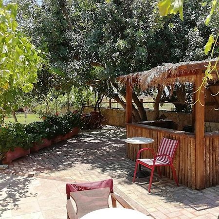 Villa Eleana Chrissi Akti Chania Exterior foto