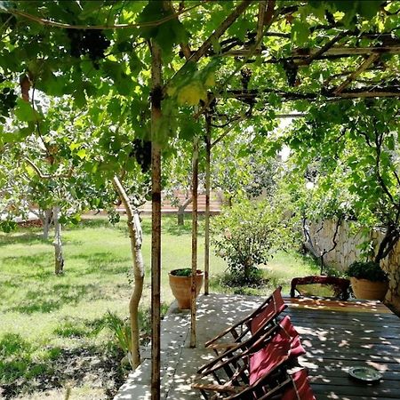 Villa Eleana Chrissi Akti Chania Exterior foto